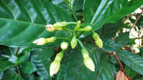 开发商暗示《死亡岛》系列新作或DLC即将公布